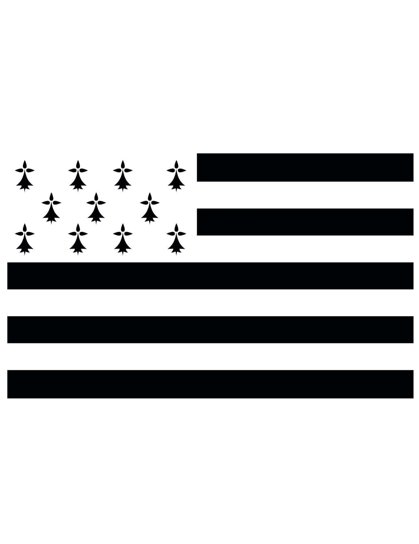 Drapeau supporter Bretagne pour adulte noir et blanc