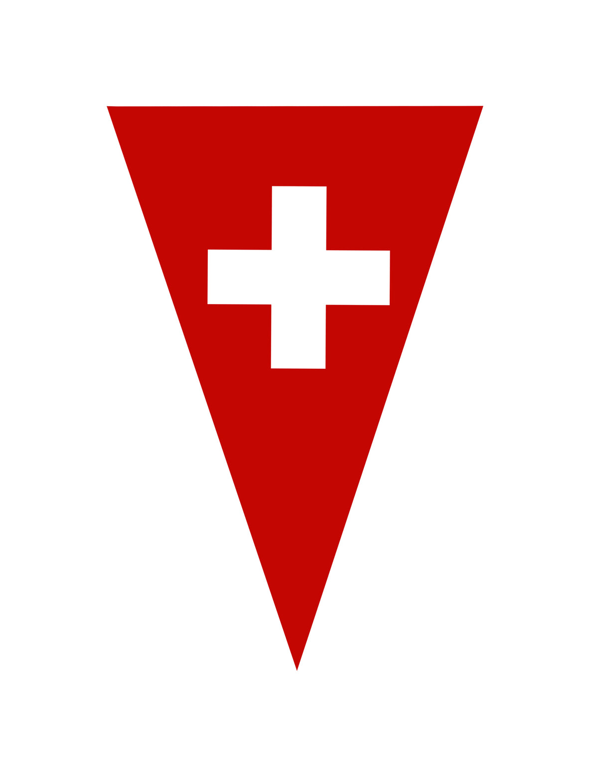 Vlaggenlijn Zwitserse vlag 5 m