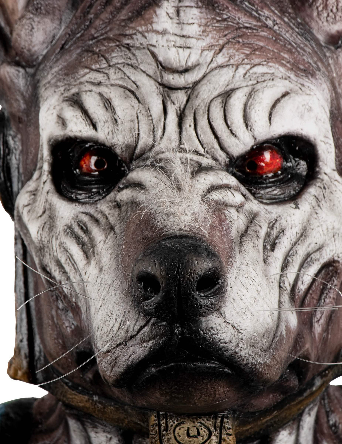 Gros plan sur le museau et les yeux du masque intégral monstre à tête de chien pour adulte