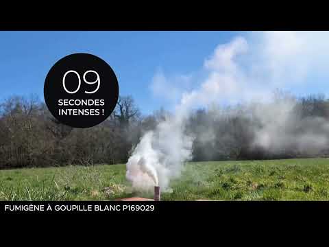 Fumigène à goupille blanc 1 minute