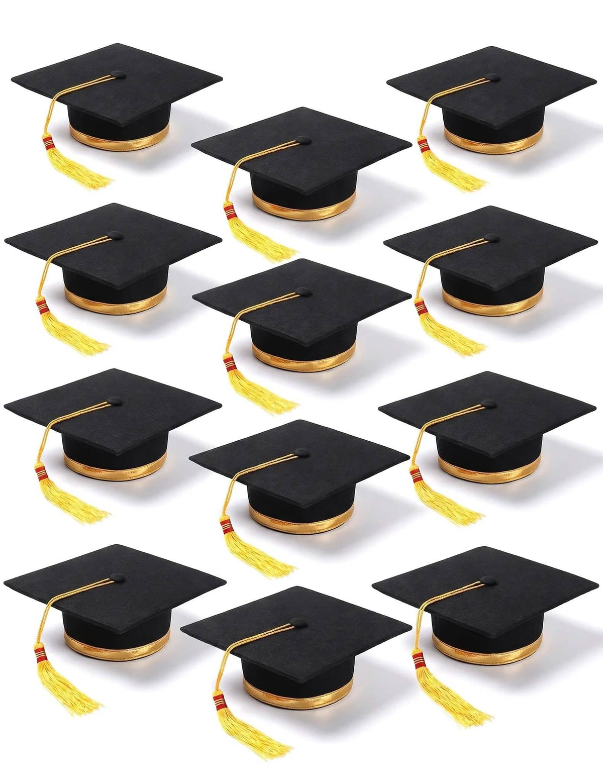 12 Toques diplômé adulte